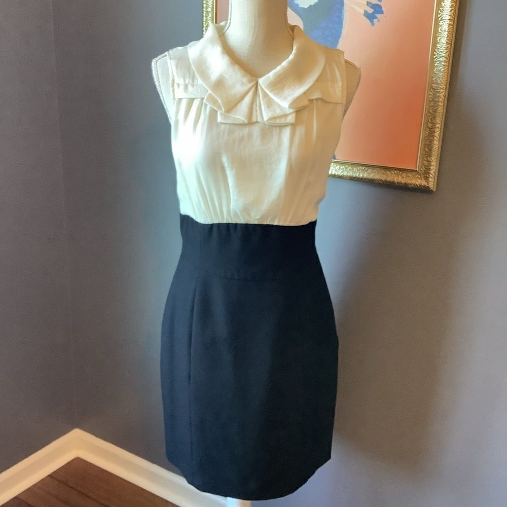 The Limited Cream & Black Dress ❤️🥰